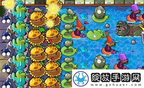 植物大战僵尸杂交版贴图异常怎么办