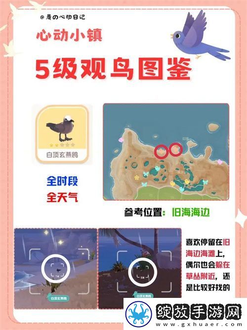心动小镇五级观鸟详细位置整理一览