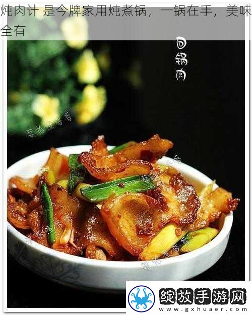 炖肉计是今牌家用炖煮锅一锅在手美味全有