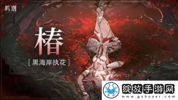 鸣潮洛可可怎么配队