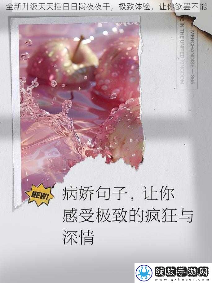 全新升级天天插日日胔夜夜干