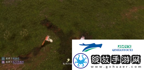 逆水寒手游仙居原动物好感度怎么提升