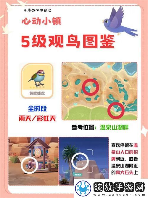 心动小镇五级观鸟详细位置整理一览