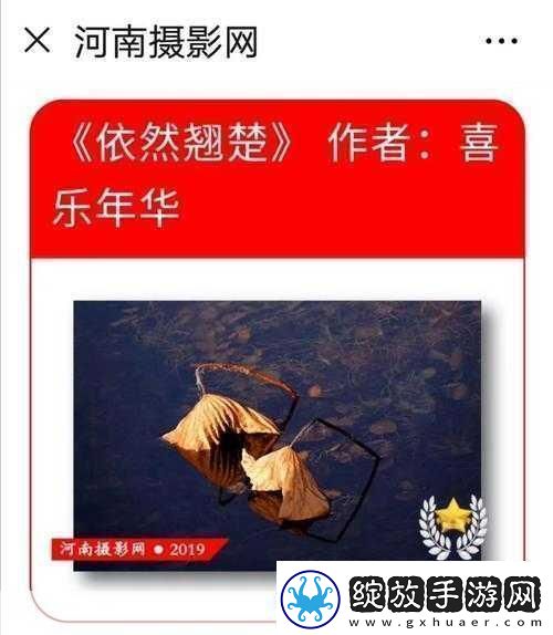 片多多