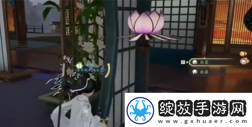 射雕手游白昙夜幽在哪