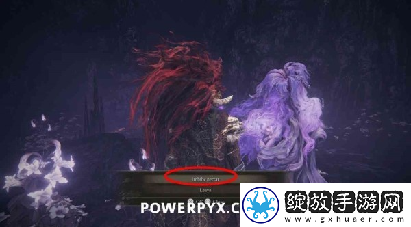 艾尔登法环黄金树之影DLC圣女托莉娜&休里耶支线攻略
