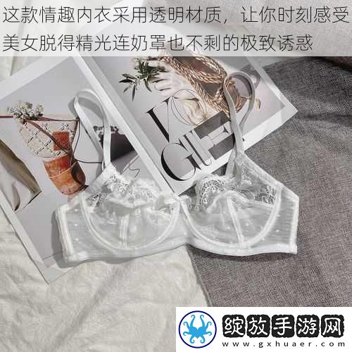 这款情趣内衣采用透明材质