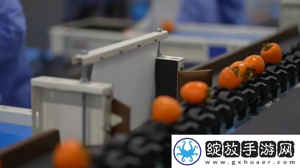 领跑榜单！中国三星十二年蝉联外企社会责任发展指数榜第一