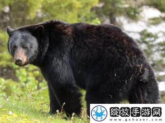 你敢信吗