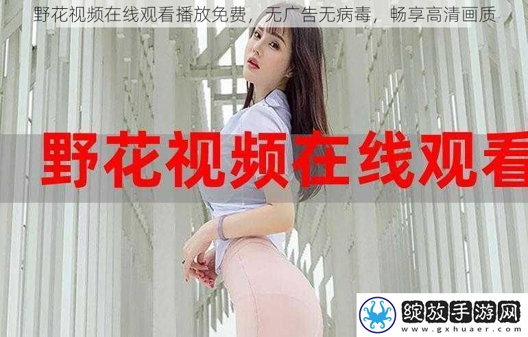 野花视频在线观看播放免费