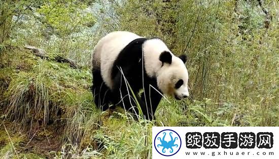 你敢信吗