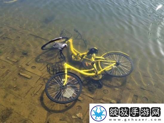 共享单车被丢河里每月可捞数百辆捞一辆需要6个人