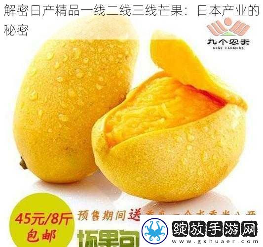 解密日产精品一线二线三线芒果