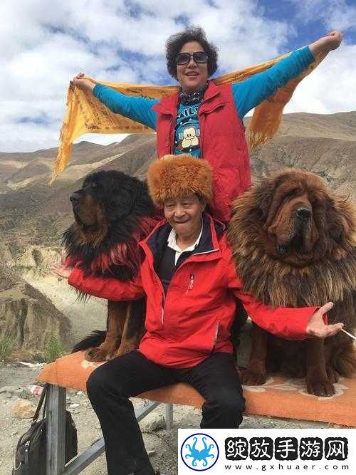 三位金主
