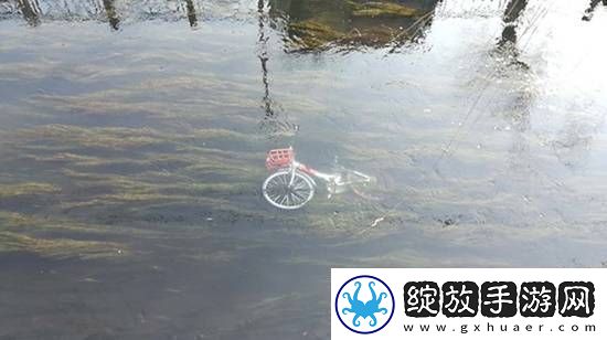 共享单车被丢河里每月可捞数百辆捞一辆需要6个人