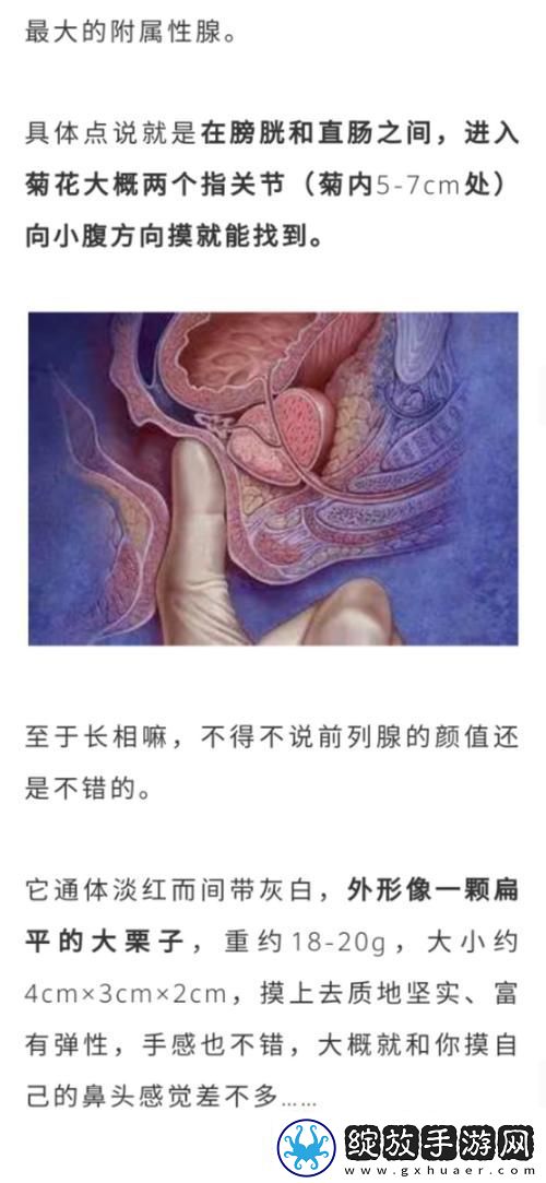 在公交车里c弄到高c了怎么办