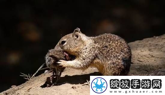 你敢信吗