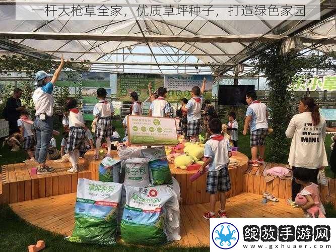 一杆大枪草全家优质草坪种子打造绿色家园