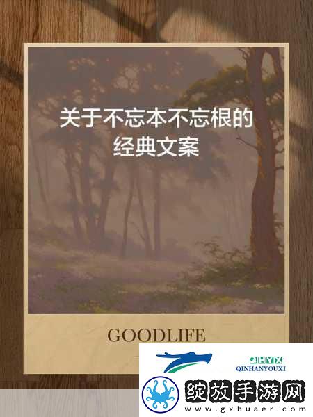 zw时看的文案