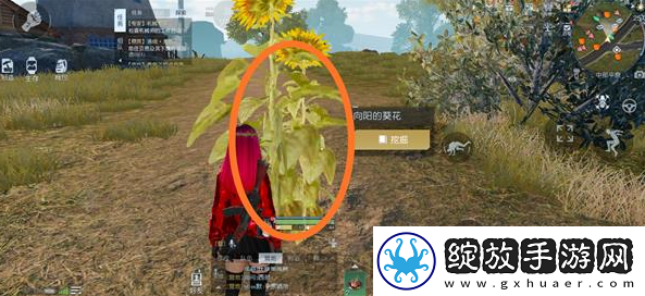 黎明觉醒藏宝图切割土地位置坐标