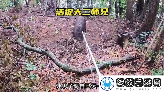 乡村狂想曲