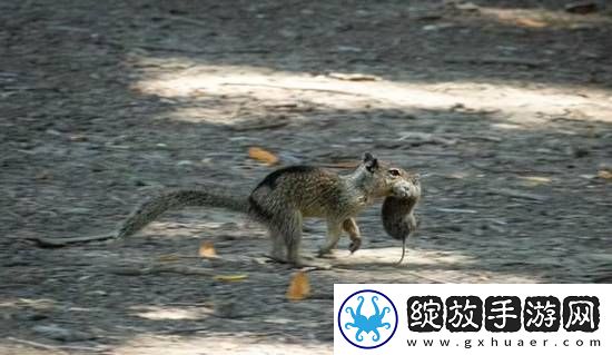 你敢信吗