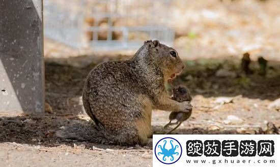 你敢信吗