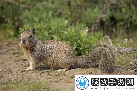 你敢信吗