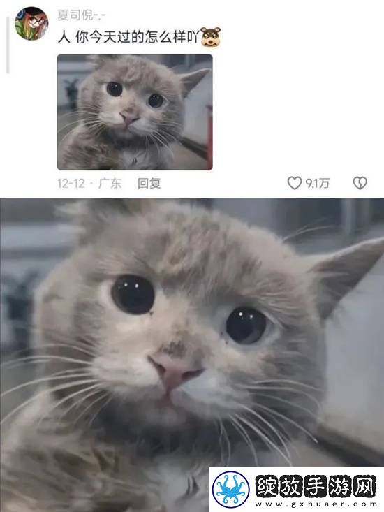 不懂小肚子的有难了