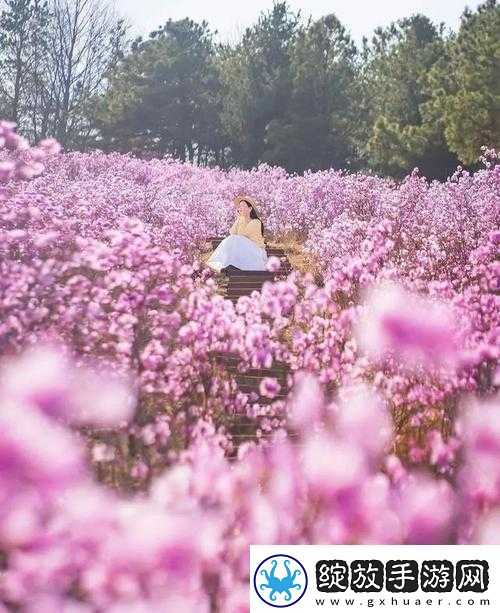 一位妙龄少女埋在花丛中