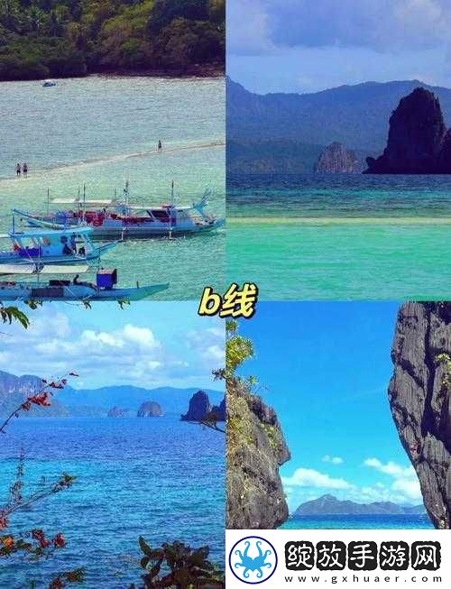 爱情岛论坛夜夜观久久