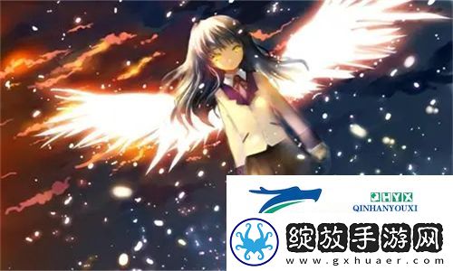 深入分析！96精产国品一二三产区的区别与特点揭秘