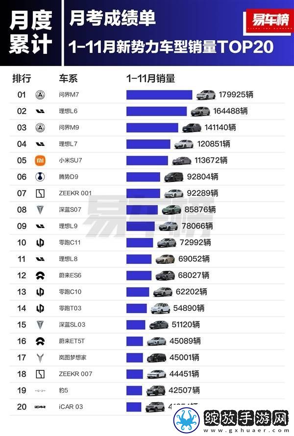 2024年前11月新能源车型争霸