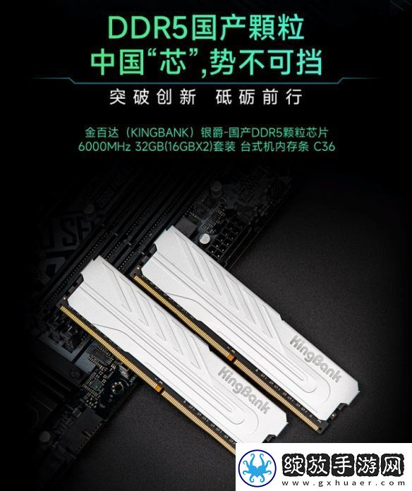 首批国产颗粒DDR5内存上市