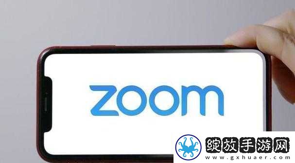 Zoom