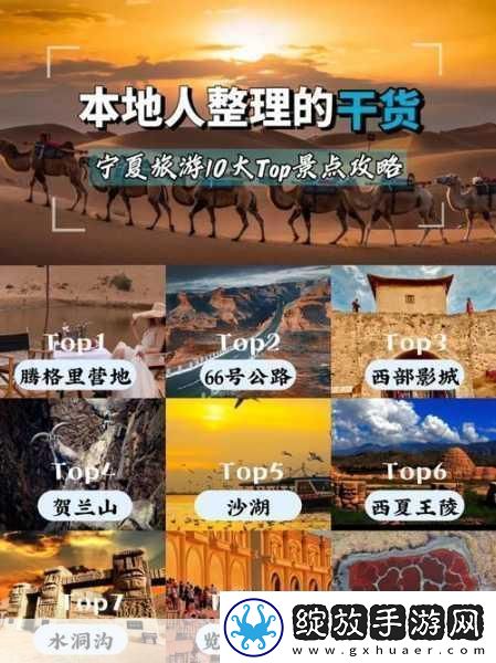 我的宁夏升级难题全攻略