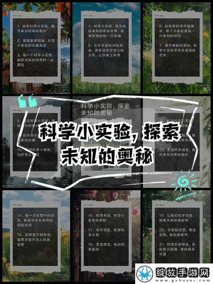 六个轮换