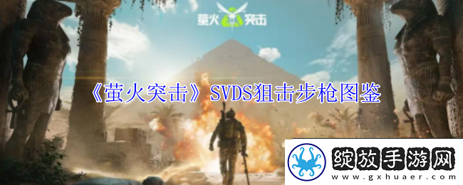萤火突击SVDS狙击步枪图鉴