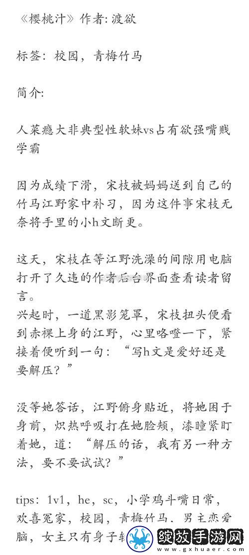 内容丰盈的樱桃汁