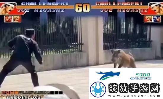 游戏囧图