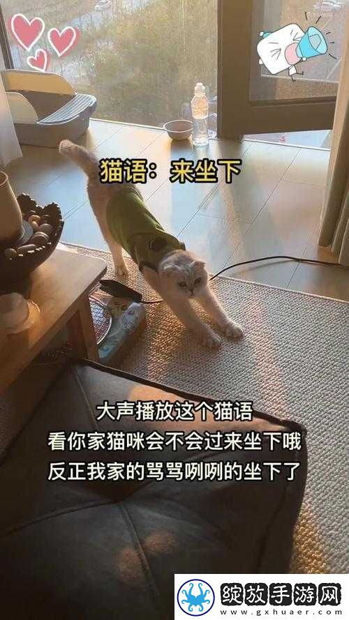乖乖坐下来不要乱动不然会摔倒哦