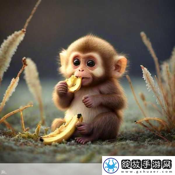 二人生猴子免费观看