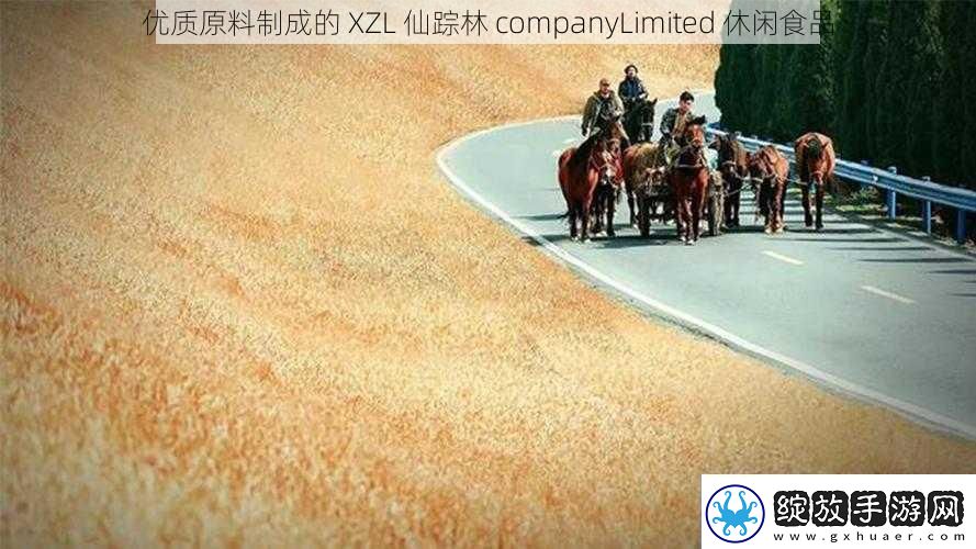优质原料制成的XZL仙踪林companyLimited休闲食品