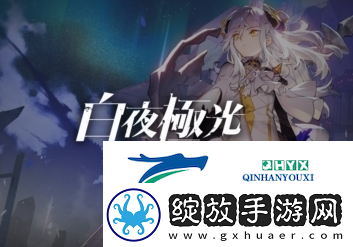 白夜极光礼包大全