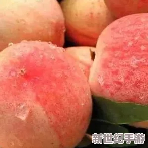 日本高清一区二区三区水蜜桃惊爆！最新水蜜桃视频上线