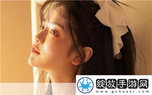 台湾仙踪林XZL