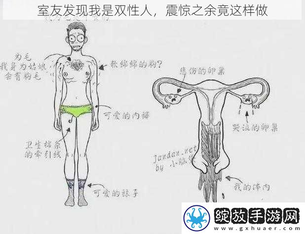 室友发现我是双性人