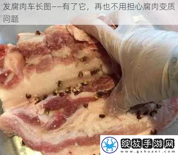 发腐肉车长图——有了它