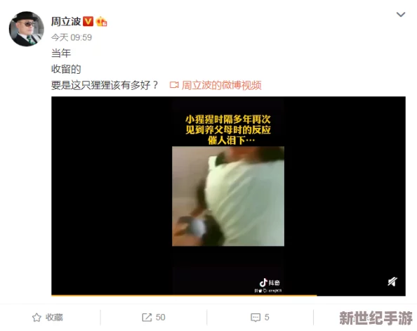 国产最爽的乱*视频国语近日引发热议