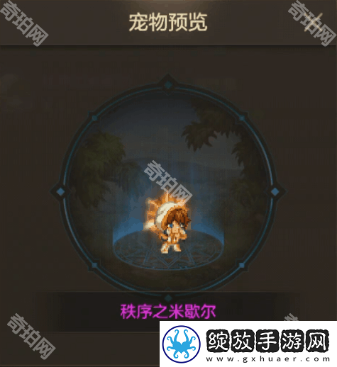 DNF手游12月混沌秩序之宠物礼包怎么样